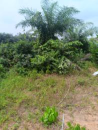 Residential Land For Sale Ebute Ikorodu Lagos