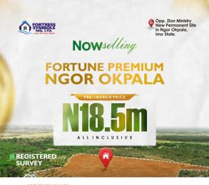 Mixed use Land For Sale Directly Opposite Zion Ministry Permanent Site. Ngor-Okpala Imo