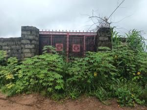 Residential Land For Sale Amakabo Avenue By White House Avu Owerri Imo