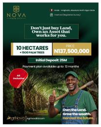 Mixed use Land For Sale Nova Palm City Imala Anigbado Abeokuta North Lga Ogun State Abeokuta Ogun