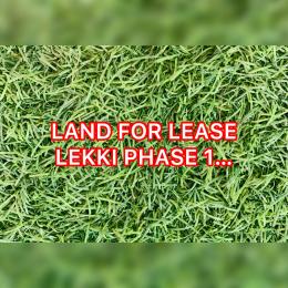 Commercial Property For Rent Lekki Phase 1 Lagos