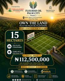 Commercial Land For Sale Flourish Oil Palm City Phase 2 The Best Investment Opportunity Plan Biase Cross River
