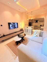 1 bedroom Flat & Apartment Short let Ikate Lekki Phase 1 Lagos