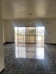 3 bedroom Flat & Apartment For Rent Ikate Lekki Lagos
