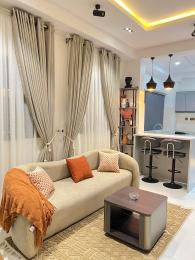 1 bedroom Flat & Apartment Short let Ikate Lekki Phase 1 Lagos