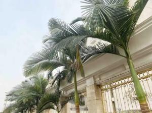 3 bedroom Block Of Flats For Rent Parkview Estate Ikoyi Lagos 3 bedroom Block Of Flats For Rent Parkview Estate Ikoyi Lagos