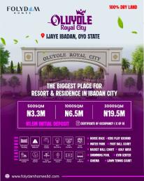 Mixed use Land For Sale Oluyole Royal City Estate Ijaye Ibadan Close To University Of Ibadan Ijaiye Orile Ibadan Oyo