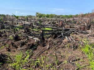 Commercial Land For Sale The Island Meadows Estate Opposite Pan Atlantic University Iberekodo Ibeju-Lekki Lagos