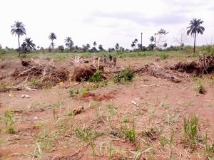 Mixed use Land For Sale Richpalms Estate Phase 1, Behind Novare Mall Monastery Road Sangotedo Lagos