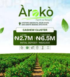 Commercial Land For Sale Aroko Farm And Resort Ibadan Oyo