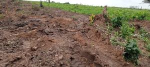 Residential Land For Sale Greenleaf Estate Along Igbodu Road Close To Epe Toll Gate Isiwo Ijebu Ode Ogun