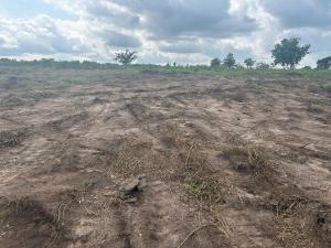 Commercial Land For Sale Golden City Estate Dijo Village Along Eruwa Road Close To Ibadan City Polytechnic Eleyele Ibadan Oyo