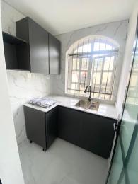1 bedroom Mini Flat For Rent Oniru Estate Oniru Victoria Island Lagos