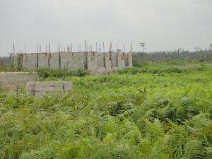 Land For Sale Trade Free Zone Free Trade Zone Ibeju-Lekki Lagos Land For Sale Trade Free Zone Free Trade Zone Ibeju-Lekki Lagos