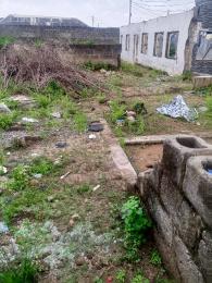 Mixed use Land For Sale Roundabout Akowonjo Alimosho Lagos