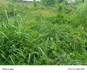 Mixed use Land For Sale Lekki Scheme 2 Abraham Adesanya Ajah Lagos Mixed use Land For Sale Lekki Scheme 2 Abraham Adesanya Ajah Lagos