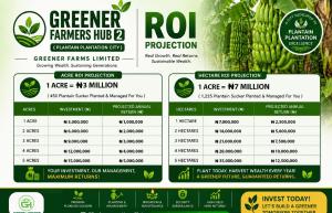 Commercial Land For Sale Greener Farmers Hub Phase 2 Strategically Located In Abeokuta North Abeokuta Ogun