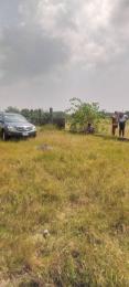 Residential Land For Sale Palm Royale City Selling On Promo, Located At Origorigo Ibeju-Lekki Lagos Residential Land For Sale Palm Royale City Selling On Promo, Located At Origorigo Ibeju-Lekki Lagos