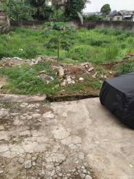 Residential Land For Sale 1min Major Road Agric Agbede Rd Agric Ikorodu Lagos