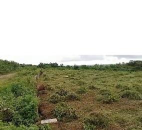 Mixed use Land For Sale Onicha Ugbo Asaba Delta