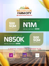Commercial Land For Sale Milebrook Farm City Estate Located In An Agric Area Obafemi Owode Ogun