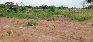 Land For Sale Bright Kiddies Estate Located At Onifufu Village,off Eruwa Road,eleyele Ibadan Oyo Land For Sale Bright Kiddies Estate Located At Onifufu Village,off Eruwa Road,eleyele Ibadan Oyo