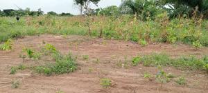 Mixed use Land For Sale Bright Kiddies Estate Located At Onifufu Village Off Eruwa Road Eleyele Ibadan Oyo Mixed use Land For Sale Bright Kiddies Estate Located At Onifufu Village Off Eruwa Road Eleyele Ibadan Oyo