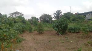 Mixed use Land For Sale Unity Estate Egbeda Egbe/Idimu Lagos Mixed use Land For Sale Unity Estate Egbeda Egbe/Idimu Lagos
