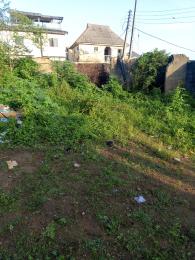 Land For Sale Ekoro Junction Abule Egba Lagos