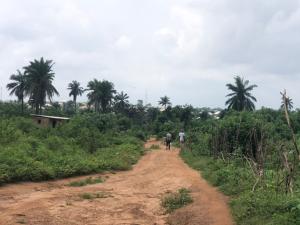 Residential Land For Sale 5 Mins Drive To The Railway Station Moniya Ibadan Oyo
