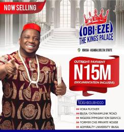 Residential Land For Sale Koka Flyover, Ibusa/okpanam Link Road, Nigeria Immigration Service, Former Cns Private House Asaba Delta