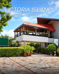 House For Rent Victoria Island Lagos