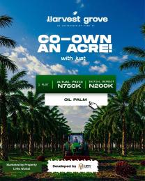 Commercial Land For Sale Harvest Groove Estate In Ayepe, Odogbolu Lga, Ogun State Immediately After Epe Toll Gate Ogun area 