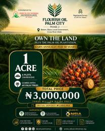 Commercial Land For Sale Flourish Oil Palm City Phase 2 Located At Betem Biase Local Government Biase Cross River
