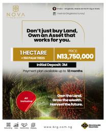 Commercial Land For Sale Nova Palm City Imala Anigbado Abeokuta North Lga Ogun State Ogun Ogun area 