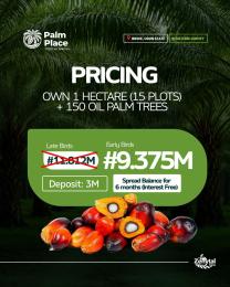 Commercial Land For Sale Palm Place Ibeshe Ogun State Ogun Ogun area 