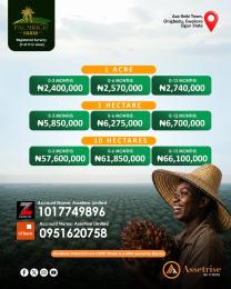 Commercial Land For Sale Palmrich Farm Asa Ilobi Town Onigbedu Ewekoro Ogun State Ogun Ogun area 