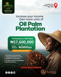 Commercial Land For Sale Palmrich Farm Asa Ilobi Town Onigbedu Ewekoro Ogun State Ogun Ogun area 