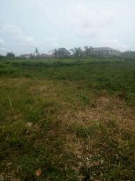 Land For Sale Olusegun Daniel Street, By Ipaye Bus Stop Iba Ojo Lagos Land For Sale Olusegun Daniel Street, By Ipaye Bus Stop Iba Ojo Lagos