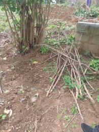 Mixed use Land For Sale Gofamint Camp Ground Opic Lagos Extension Ogun