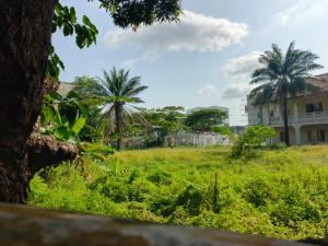 Residential Land For Sale Exclusive Alexander Road Frontage Bourdillon Ikoyi Lagos