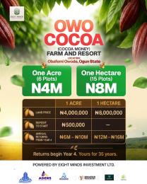 Commercial Property For Sale Ogunmakin Ogun Makin Obafemi Owode 