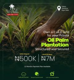 Mixed use Land For Sale Opeji, Odeda Abeokuta Alabata Abeokuta Ogun