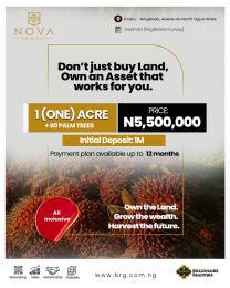 Commercial Land For Sale Nova Palm City Imala Anigbado Abeokuta North Lga Ogun State Amuwo Odofin Lagos