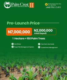 Commercial Land For Sale Palm Crest Phase 2 Imeko Avon Loca Government Adea Ogun Ogun area  Commercial Land For Sale Palm Crest Phase 2 Imeko Avon Loca Government Adea Ogun Ogun area