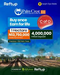 Commercial Land For Sale Palm Crest Phase 3 Iseyin Oyo State Iseyin Ibadan Oyo