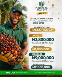 Commercial Land For Sale Flourish Oil Palm City Located At Ore Agbabu Odigbo Local Government Area Odigbo Ondo