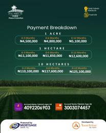 Commercial Land For Sale Palmrich Farm Phase 3 Extension Opeji Odeda Abeokuta Ogun area 