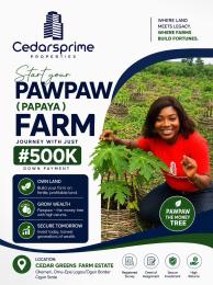 Commercial Land For Sale Omu Epe Epe Lagos