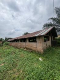 Tank Farm For Sale Isiukhukhu At Ekiadolor Benin Edo